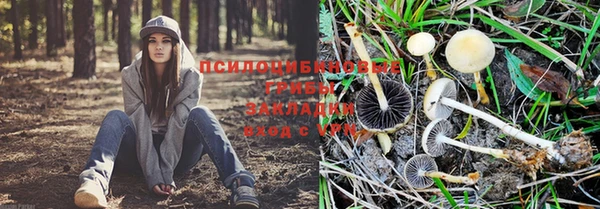гашиш Алексин