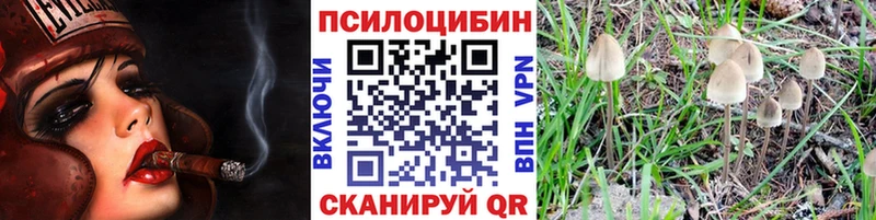 Псилоцибиновые грибы MAGIC MUSHROOMS Чухлома